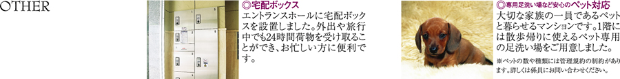 セイガステージ国立Ⅵ　その他